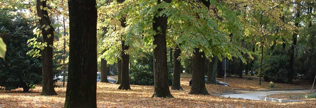 parco